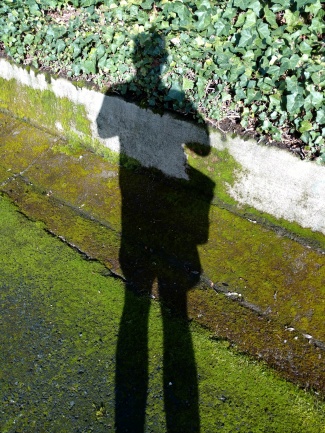 Green Shadow SHot